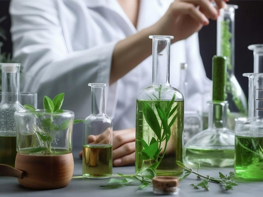 The Science of Ayurveda: Doshas & Their Impact on Your Health