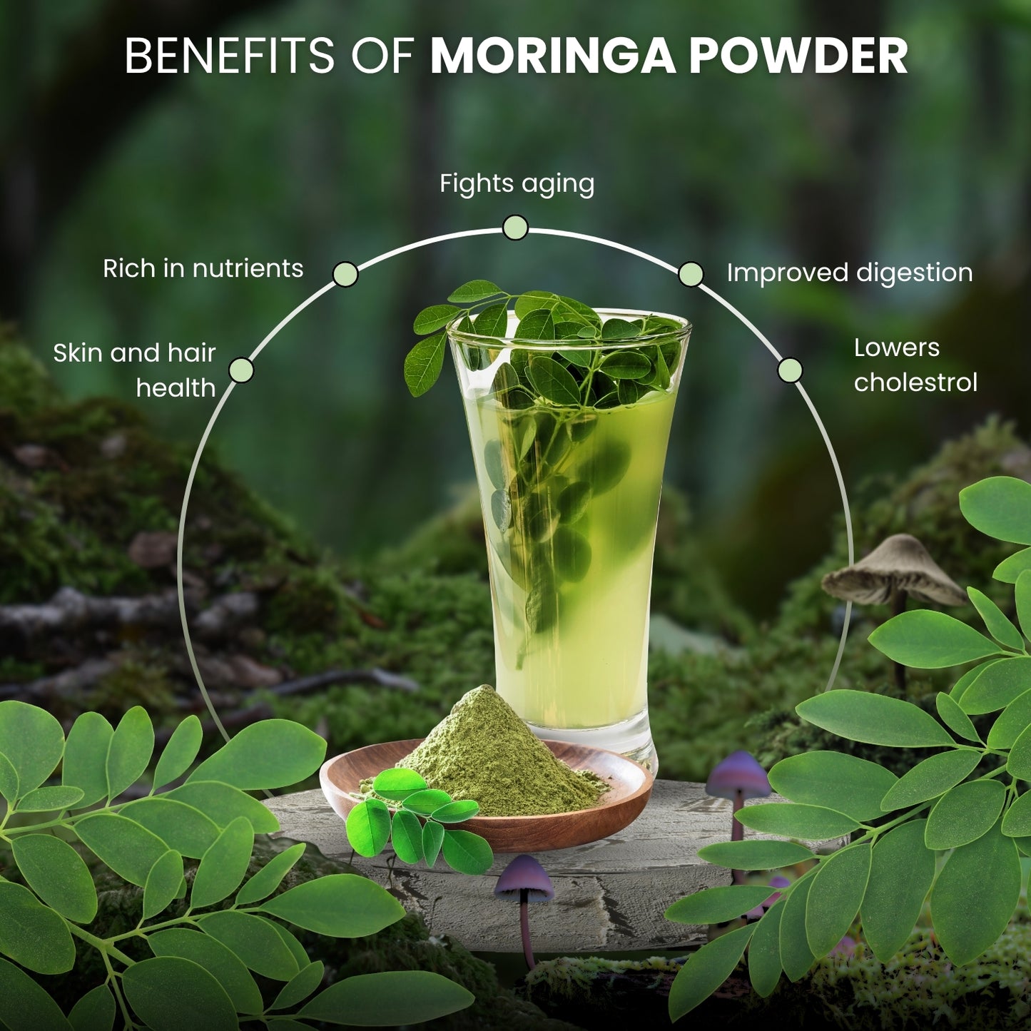 Deemark Moringa Powder - Natural Energy Booster