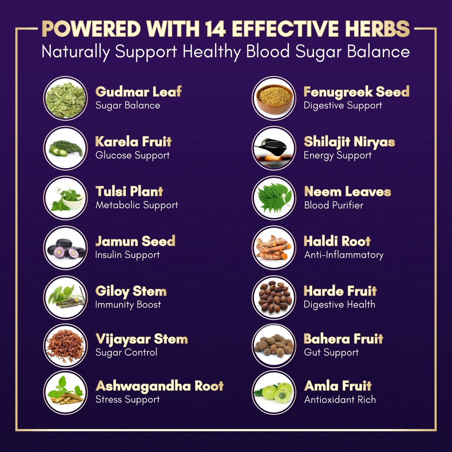 Deemark Karela Jamun Capsules