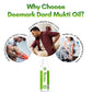 Dard Mukti Oil - A Natural Ayurvedic Pain relief oil for Joint & Muscle pain