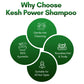 Kesh Power Ayurvedic Shampoo To Control Hair Fall & Dandruff