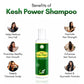 Kesh Power Ayurvedic Shampoo To Control Hair Fall & Dandruff